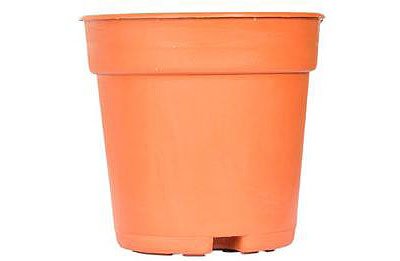 grower-pot-3-5