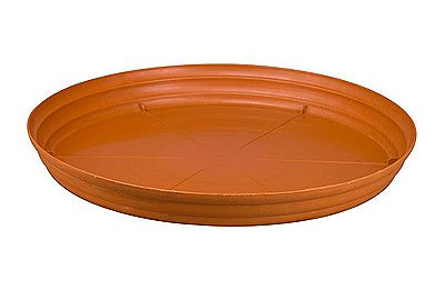 saucer
