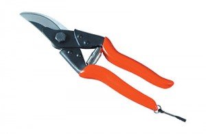 Major Pruning Secateur