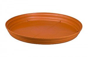 saucer