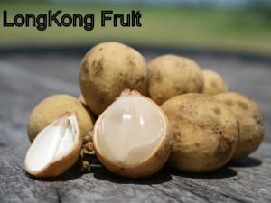 Exotic Fruits at Shailesh Nursery
