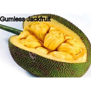 Gumless Jackfruit
