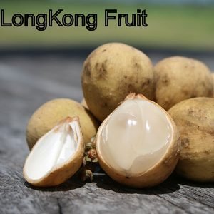 Longkong Fruit