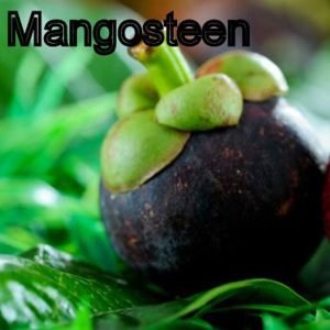 Mangosteen