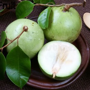Milkfruit
