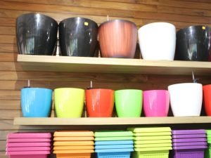Wholesale Plant Nursery