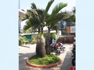 shailesh-nursery-project-hotel-orient
