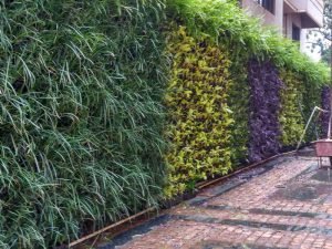 Vertical Garden by Shailesh Nursery